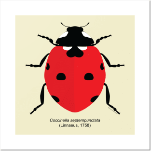 Ladybug Posters and Art